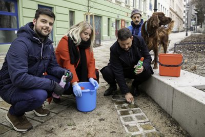 SPÖ Wien
