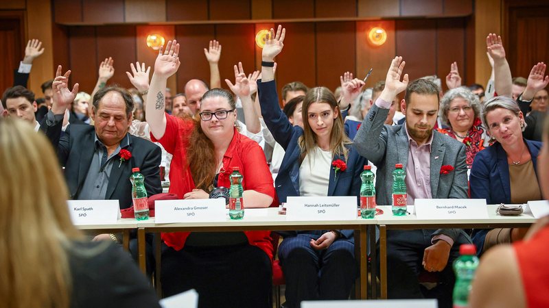 Angelobung 2025 (c) Rene Wallentin